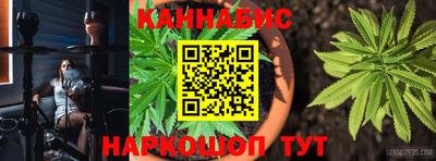 стафф Будённовск