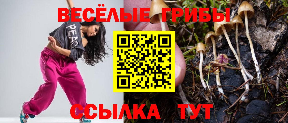 Галлюциногенные грибы мицелий Красноармейск