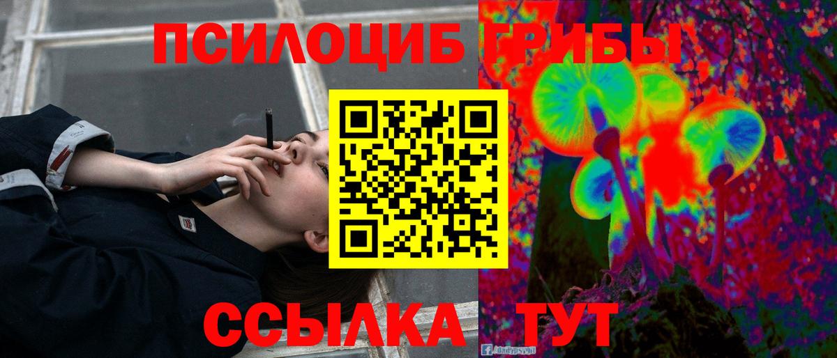 Псилоцибиновые грибы MAGIC MUSHROOMS  Псилоцибиновые грибы прущие грибы  Вход с VPN  Красноармейск 